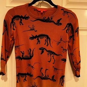 Dinosaur sweater
